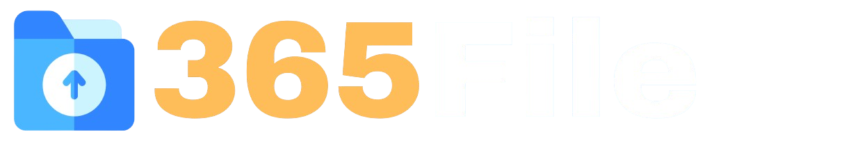365File
